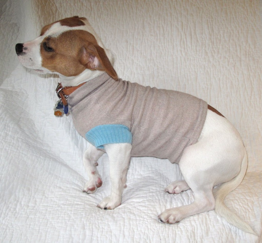 sweater DIY fresh fidly 15