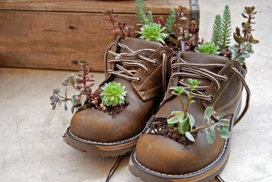shoes planters