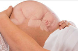 bebes 916x542