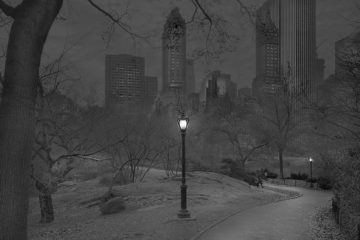 haunting images new york city central park michael massaia fb 700 png