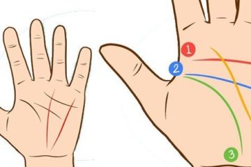 Les lignes sur votre main peuvent reveler des secrets sur vous et votre futur 1
