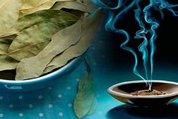 bay leaf