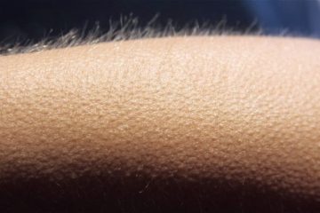 Les gens qui ont des frissons a lecoute de la musique pourraient avoir un cerveau special