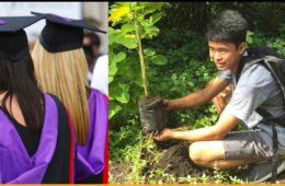 Plant 1 tree