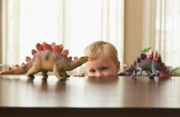 0 Caucasian boy playing with toy dinosaurs