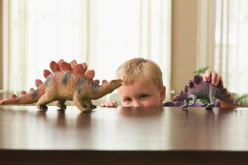 0 Caucasian boy playing with toy dinosaurs