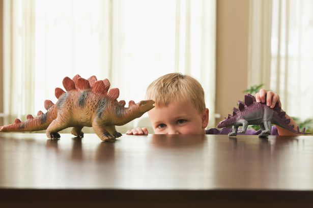 0 Caucasian boy playing with toy dinosaurs