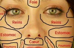 Cette carte du visage de la medecins chinois permet didentifier quelle partie du corps est malade et comment la soigner 725x375