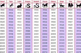 Voici ce que revele votre signe du zodiaque chinois sur votre personnalite 725x375