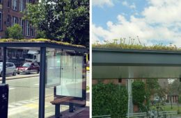 city in netherlands transforms bus stops into bee stops utrecht fb png 700