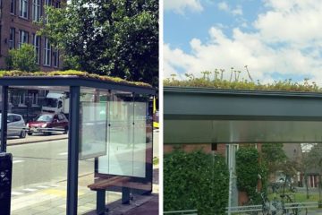 city in netherlands transforms bus stops into bee stops utrecht fb png 700