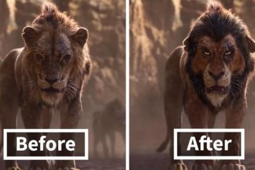 lion king live action fan remake nikolay mochkin fb43 png 700