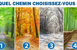 Quel chemin choisissez vous