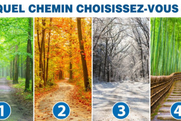 Quel chemin choisissez vous