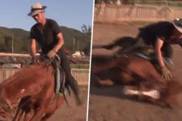 horse riding fb 702x369