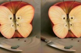 apple illusion