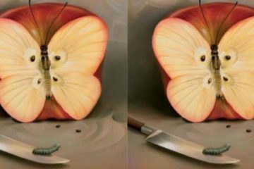 apple illusion