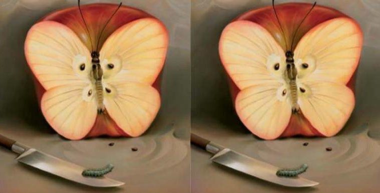 apple illusion