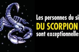 scorpionsont exceptionnelles 1 1 1200x667 1