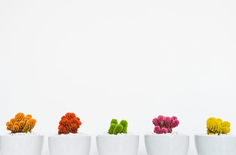 scott webb GQD3Av 9A88 unsplash