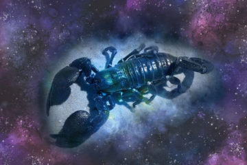 Scorpion