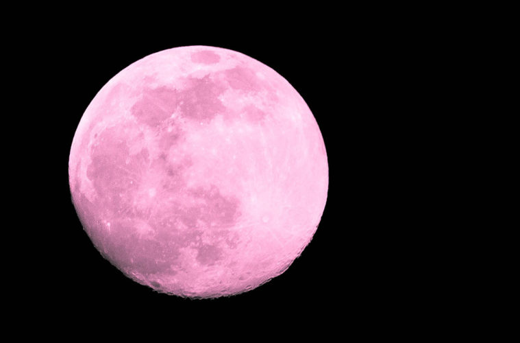 pleine lune rose