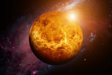 la vie sameliore