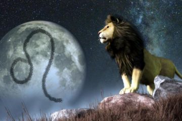 lune en lion