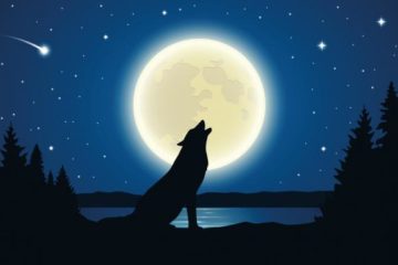 pleine lune loup