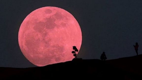 lune rose