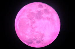 pleine lune rose